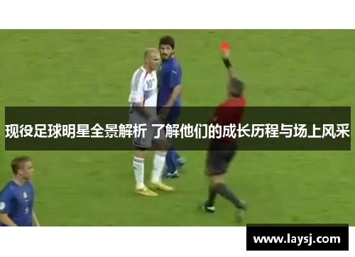 现役足球明星全景解析 了解他们的成长历程与场上风采