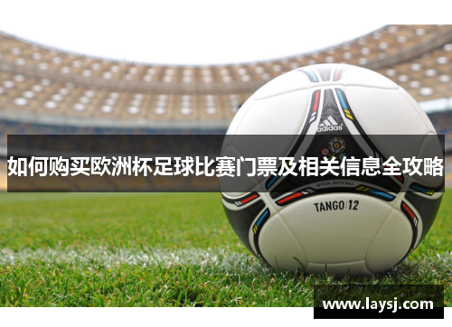如何购买欧洲杯足球比赛门票及相关信息全攻略