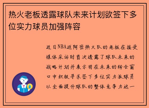 热火老板透露球队未来计划欲签下多位实力球员加强阵容